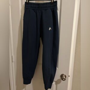 Alphalete Dark Blue Joggers